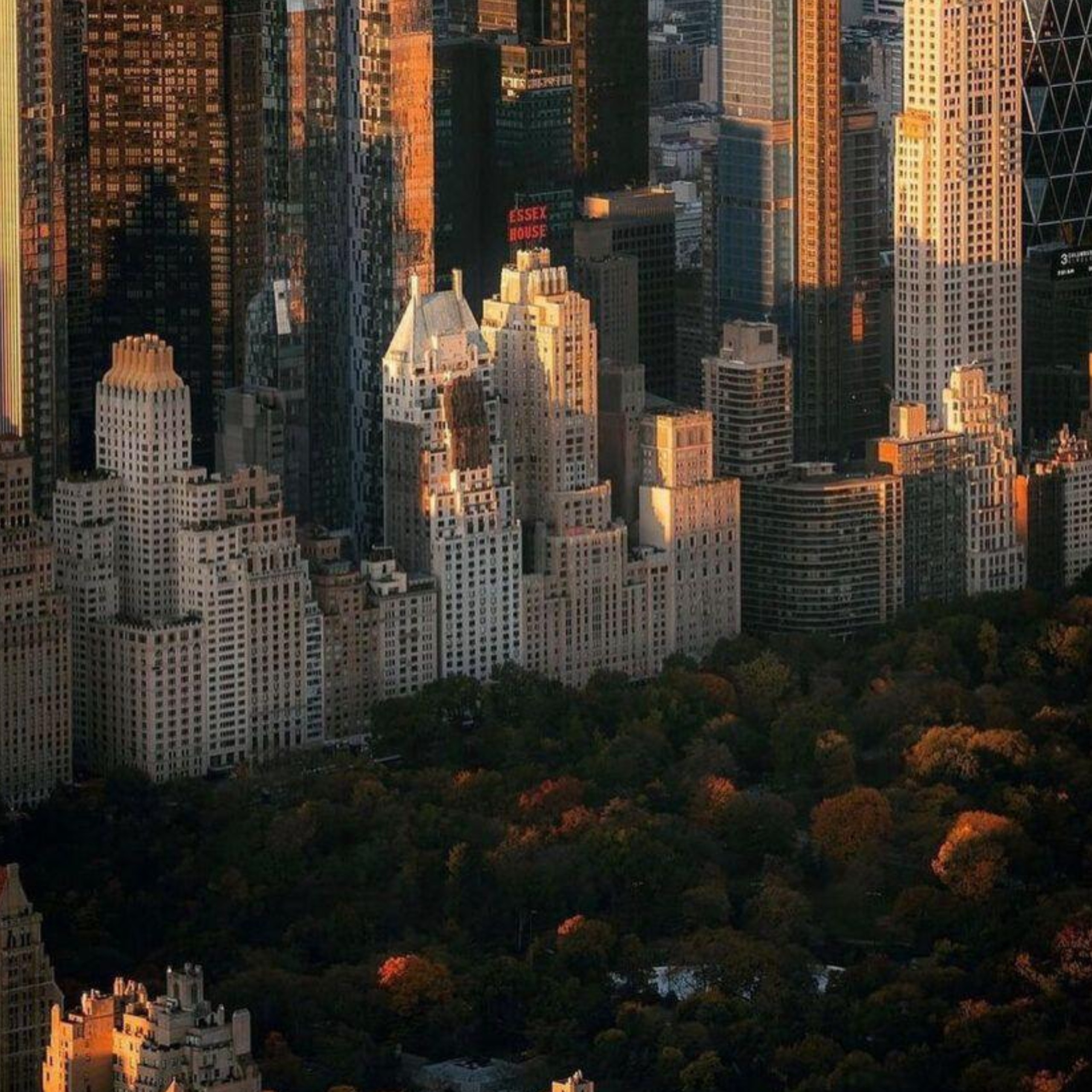 The City in November: Finding Warmth Between the Cold.